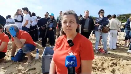 Florence Dell'Amico, responsable du centre d'études et de soins des tortues marines