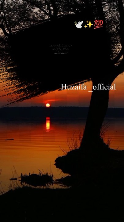 Islamic quotes|Urdu quotes|about life quotes|inspirational quotes|golden words