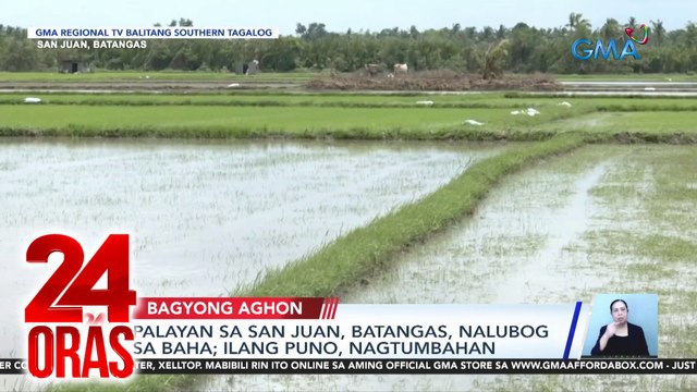 Palayan sa San Juan, Batangas, nalubog sa baha; ilang puno, nagtumabahan | 24 Oras