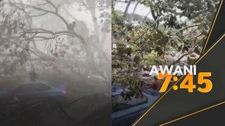 Tujuh kenderaan rosak dihempap pokok tumbang