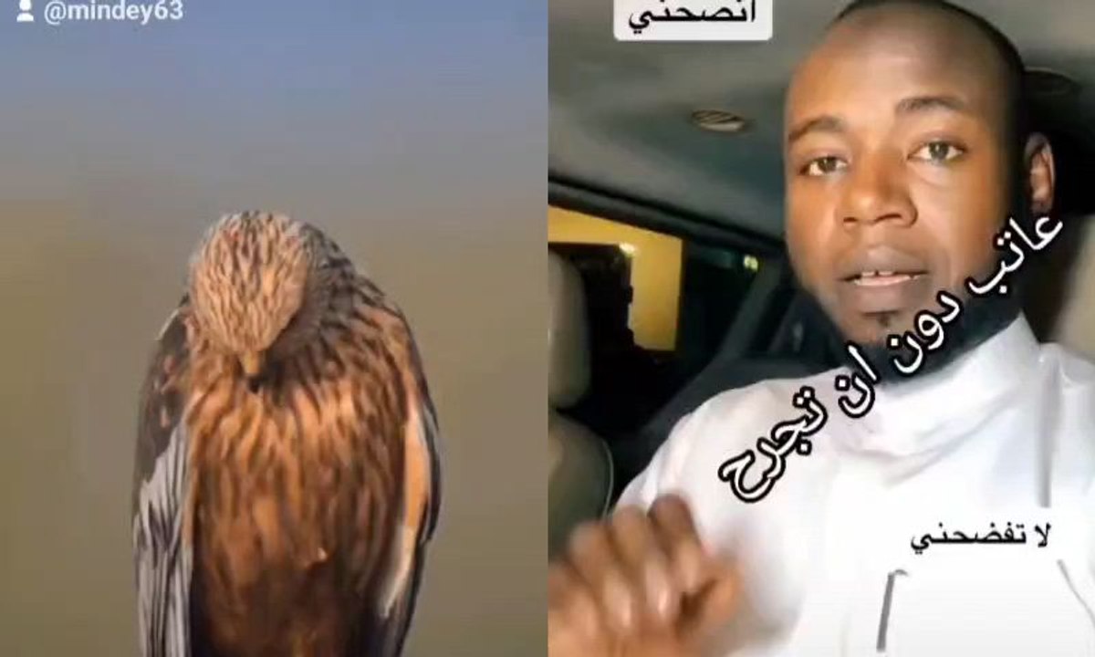 نصيحة