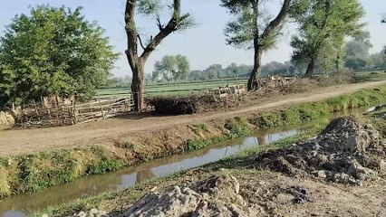 Village ki subah village life village ke daily kam
