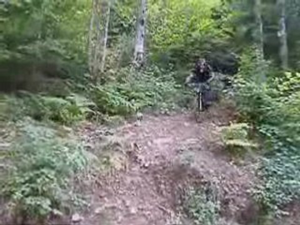 Coudons ride show 07