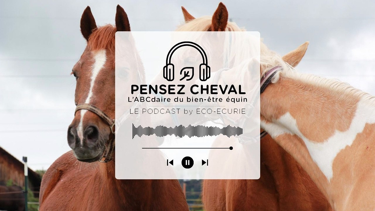 Épisode 28 : Daniela Strube - ÉCURIES DES PLATANES