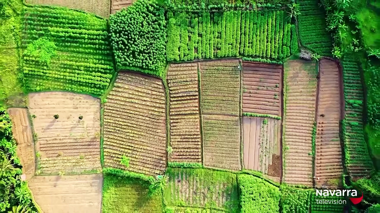 31 jóvenes se incorporan al agro navarro gracias a INTIA