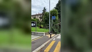 Bergamo, il video dell'albero crollato in via dello Statuto