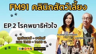 โรคพยาธิหัวใจ EP.2 : FM91 คลินิกสัตว์เลี้ยง : 26 พฤษภาคม 2567