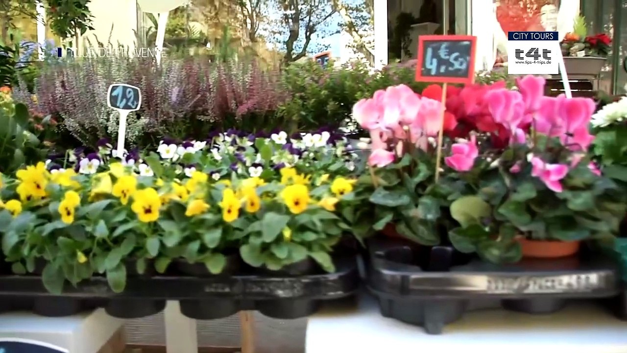 Tips-4-Trips - #Tip154 -- Tour de Provence