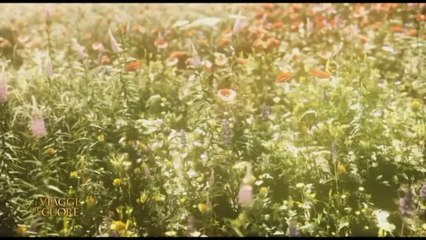 Amirante: instabilità e guerre, come custodire la pace