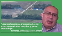 Avasallamientos en tierras productivas alerta a ANAPO