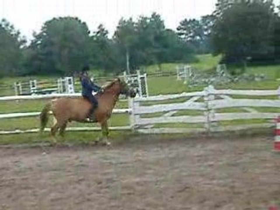 Reiten