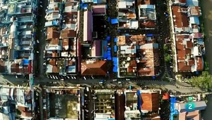 Percibir el Peligro: Cómo Humanos y Animales Responden a Amenazas