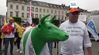 Bruxelles, la protesta dei produttori di latte