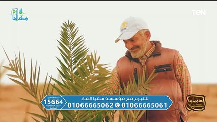 الأدب مع النبي صلى الله عليه وسلم.. وجهود مؤسسة سقيا الماء في أعمال الخير | دنيا ودين