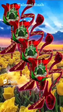 Islamic video #islamicvideo #islam #islamicshorts