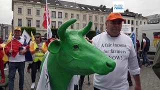 Los productores de leche exigen en Bruselas 