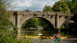 Ludlow Goes Quackers For Duck Race!