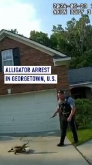 Unbelievable Alligator Arrest in Georgetown, Georgia 🐊