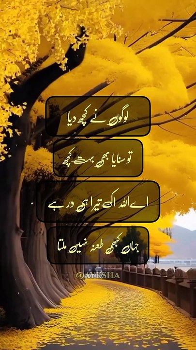 Quotes