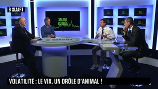 SMART BOURSE - Volatilité : le Vix, un drôle d'animal !