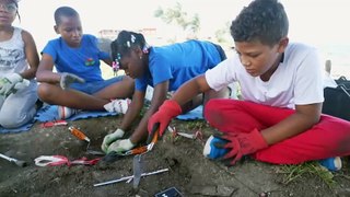 En Guadeloupe, des fouilles pédagogiques pour sauver le patrimoine