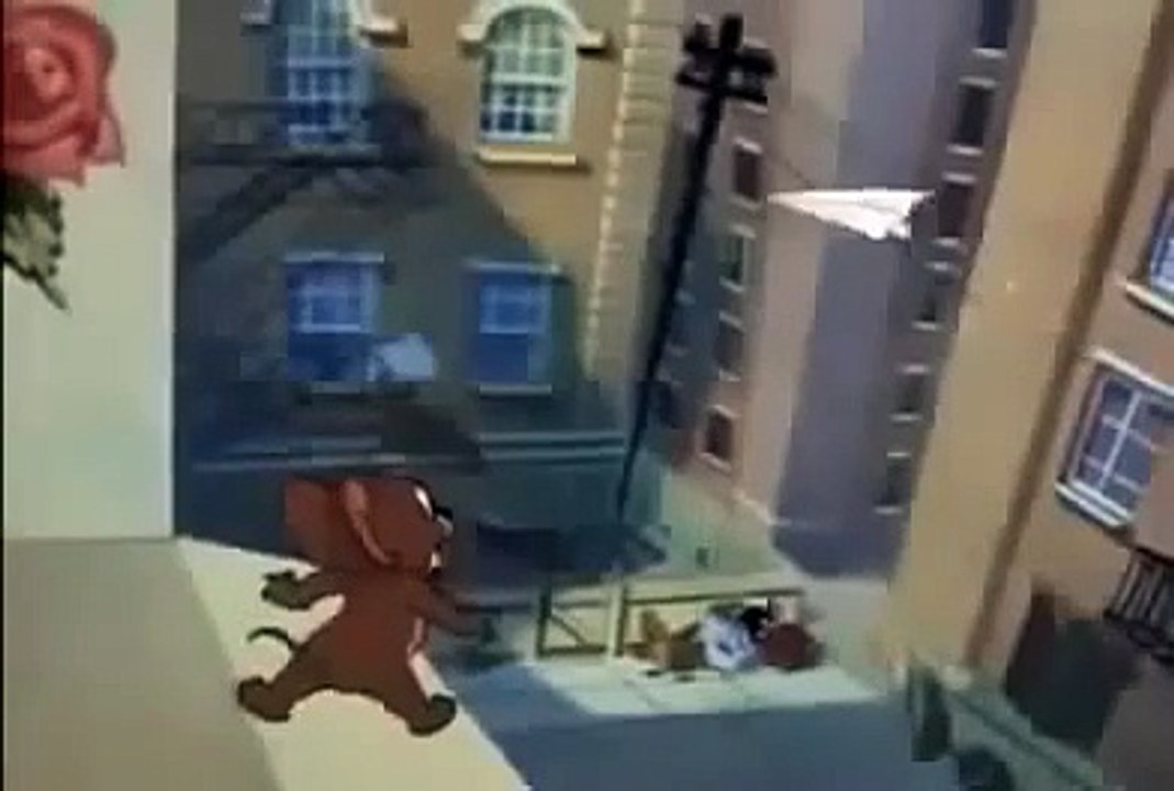 Tom And Jerry Casanova Cat