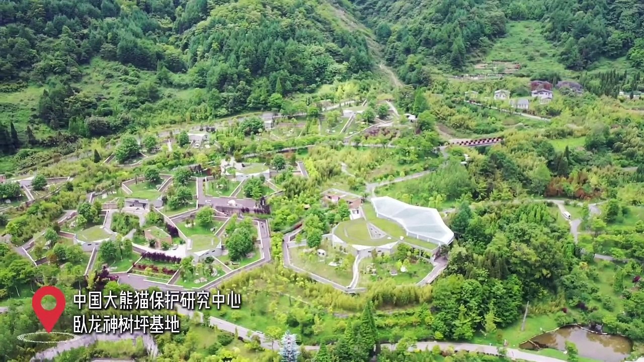 FUbao