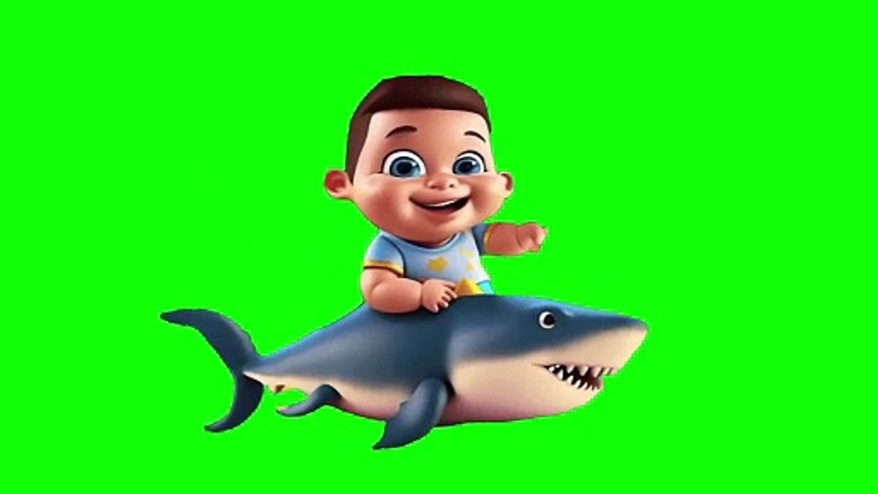 Green screen baby shark - baby riding shark 11