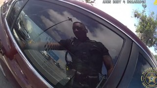 ドラマチックなビデオ：フロリダで警察官が車の窓ガラスを割って少女を救出
