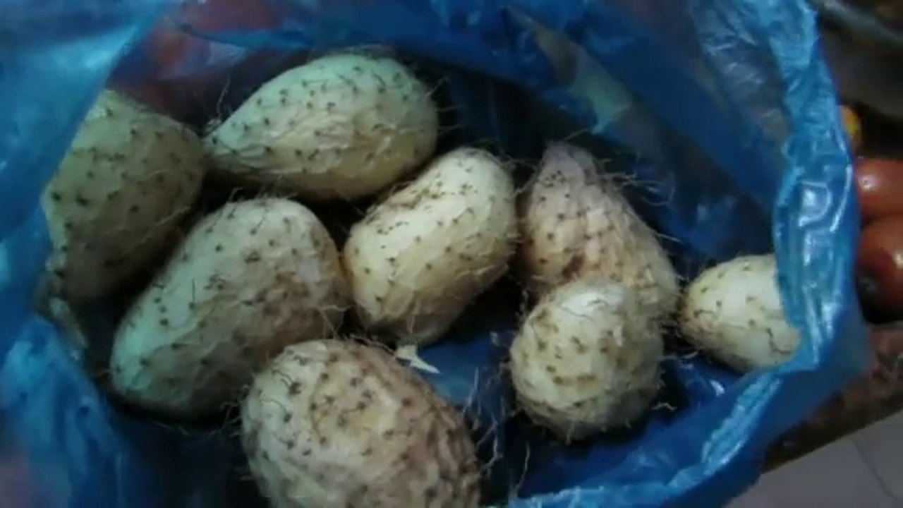 RARE INDIAN EXOTIC FRUIT VERY FEW INDIANS HAVE SEEN