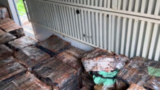 Megaoperação: Receita Federal e Polícia Militar apreendem 4 toneladas de maconha