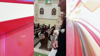 Cachorro caramelo rouba cena durante entrada de noiva em igreja do PR
