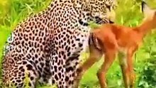 f0e7a735c18d4e4498c7cd03a0245eb1