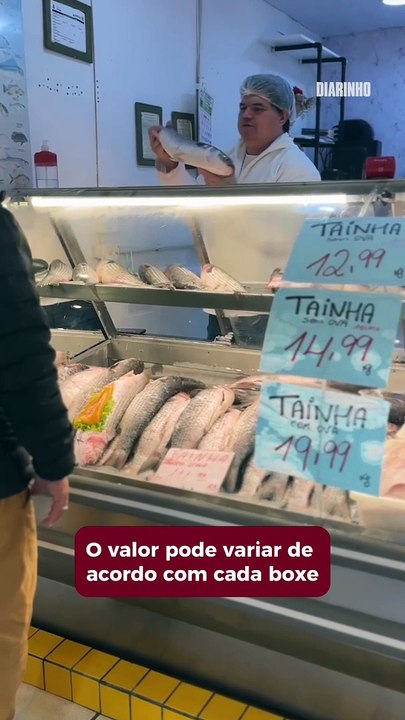 Tainhas a partir de R$ 13 o kg nos mercados do peixe de Itajaí