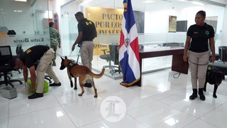 K-9: Los perros que detectan explosivos en los aeropuertos domimicanos