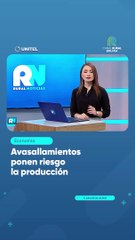 Avasallamientos ponen riesgo la producción