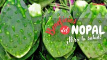 8 beneficios del nopal para tu salud que debes conocer | Beneficios de alimentos | Cocina Vital