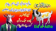 Eid Ul Adha Status | Bakra Eid Mubarak Status 2024