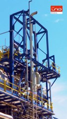 #EnRedUno | Escasez de Dólares en Bolivia