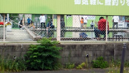 Fishing in a Big City in Japan