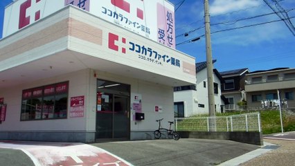 Drive Through Drug Store in Japan