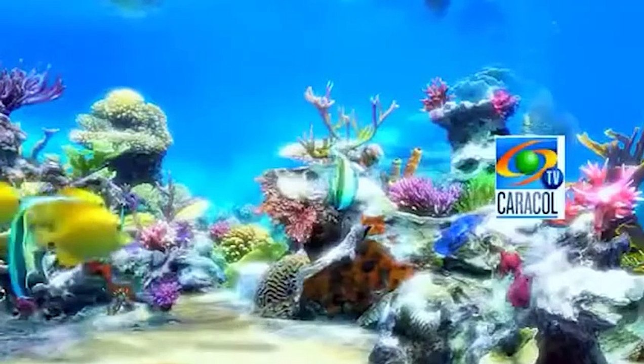 caracol final de emisión 2000s