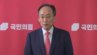 與, '대통령 임기단축 개헌론'에 