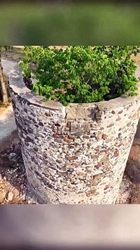 Renovation a Silo abandoned for nearly 200 years