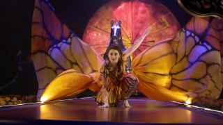 Cirque du Soleil brings Mexico Down Under in new show Luzia | May 28, 2024 | The Senior