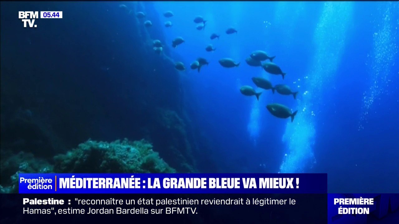 Méditerranée: des capteurs à ADN environnementa...