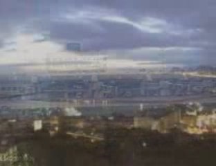 Souvenir d'Alger: Memories of the City