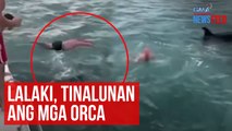 Lalaki, tinalunan ang mga orca | GMA Integrated Newsfeed