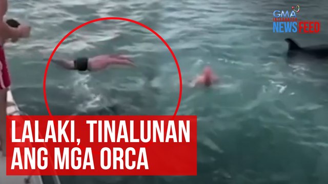 Lalaki, tinalunan ang mga orca | GMA Integrated Newsfeed