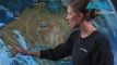 Wet and windy front to sweep across Australia